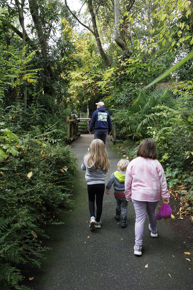 Woodland Park Zoo — photo 24